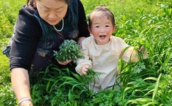 装不下了要溢出来了